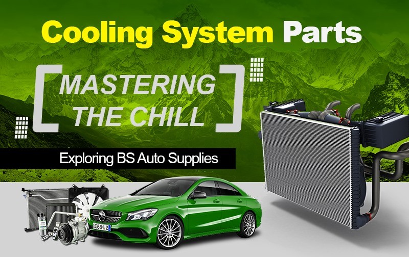Mastering the Chill: Exploring BS Auto Supplies' Cooling System Parts
