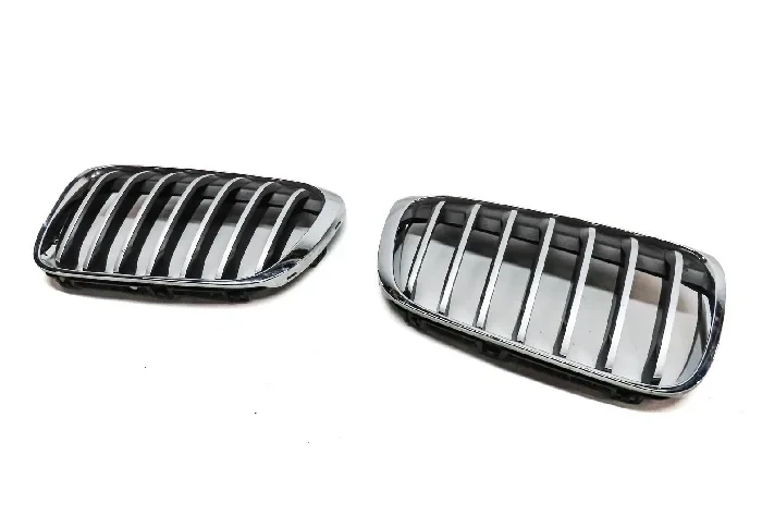 BMW X1 Front Kidney Grille Set